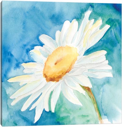 Daisy Sunshine I Canvas Art Print - Daisy Art