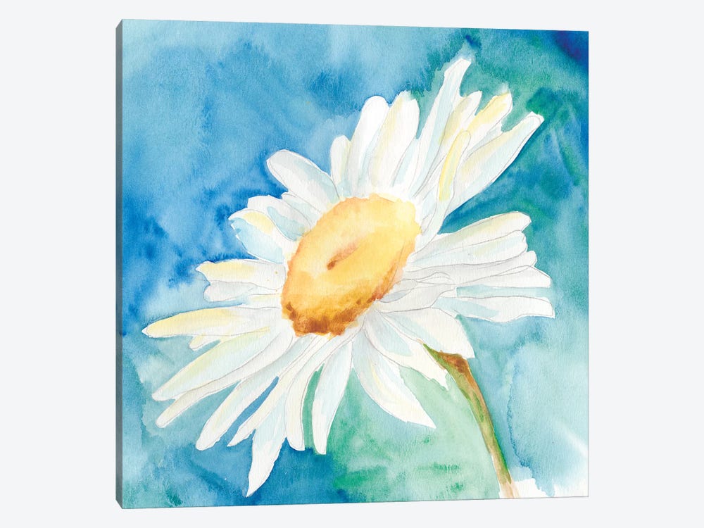 Daisy Sunshine I by Regina Moore 1-piece Canvas Art Print