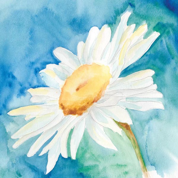 Daisy Sunshine I