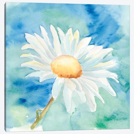 Daisy Sunshine II Canvas Print #REG17} by Regina Moore Canvas Artwork