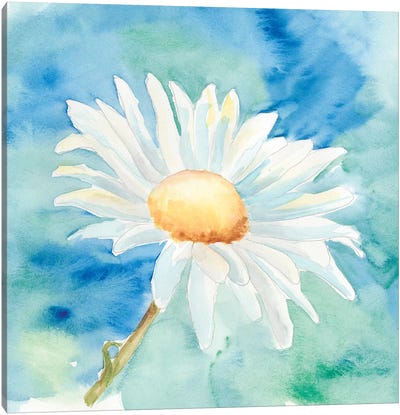 Daisy Sunshine II Canvas Art Print - Daisy Art