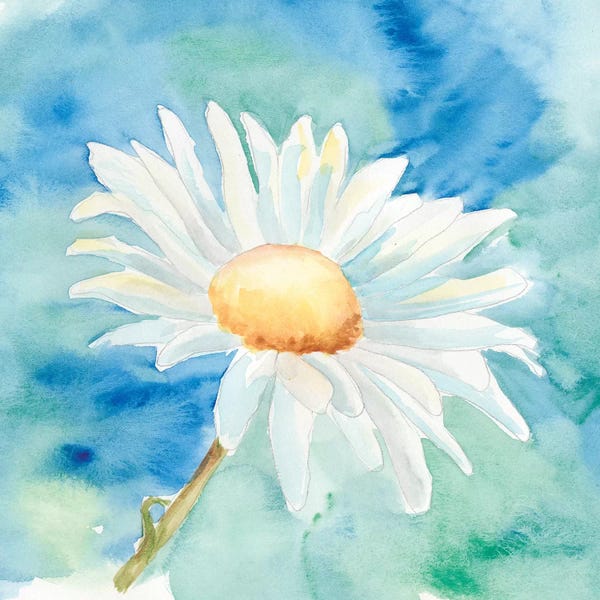 Floral Close-Ups: Daisy Sunshine II by Regina Moore