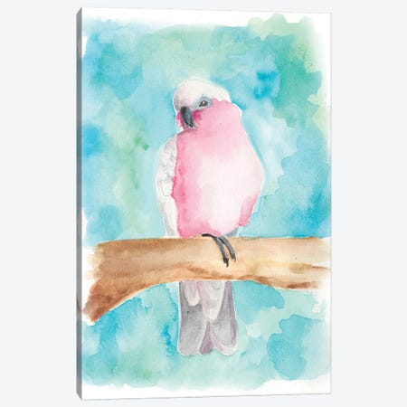 Sweet Tropical Bird III Canvas Print #REG38} by Regina Moore Canvas Art Print