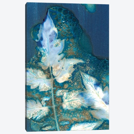 Cyanotype Leaves II Canvas Print #REG491} by Regina Moore Art Print