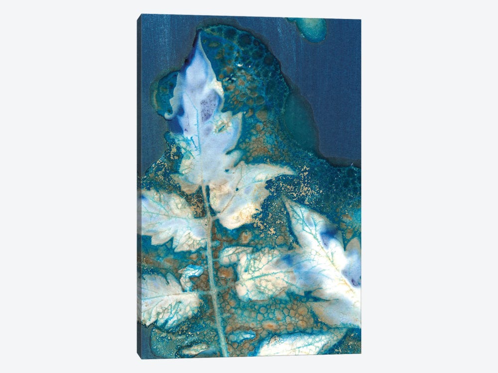 Cyanotype Leaves II by Regina Moore 1-piece Canvas Art
