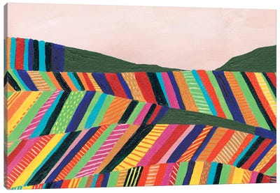 Rainbow Fields I Canvas Art Print - Regina Moore