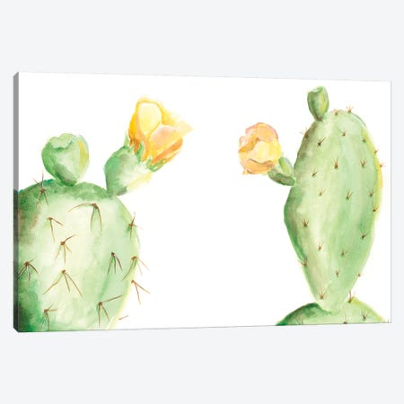 Spiny Desert Plants I Canvas Print #REG58} by Regina Moore Art Print