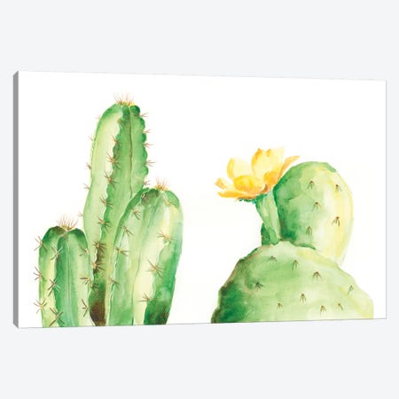 Spiny Desert Plants II Canvas Print #REG59} by Regina Moore Canvas Print