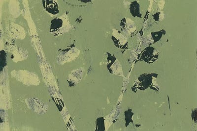 Verdant Branch II by Regina Moore canvas print