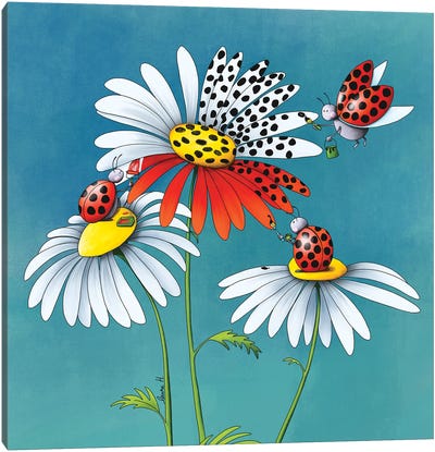Daisies And Ladybugs II Canvas Art Print - LaureH