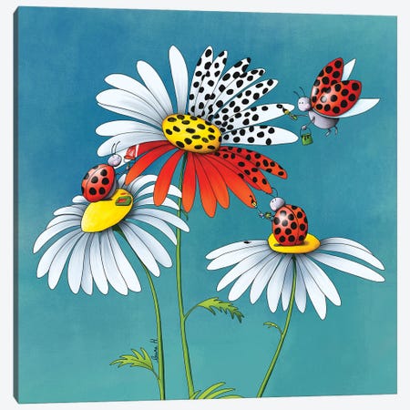 Daisies And Ladybugs II Canvas Print #REH10} by LaureH Canvas Artwork
