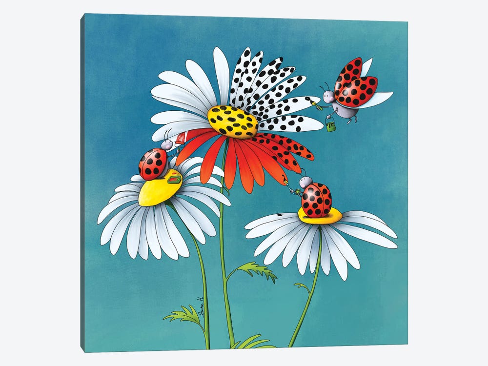 Daisies And Ladybugs II by LaureH 1-piece Canvas Art Print