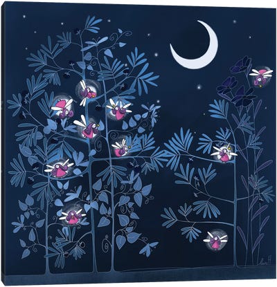 Night Garden Canvas Art Print - LaureH