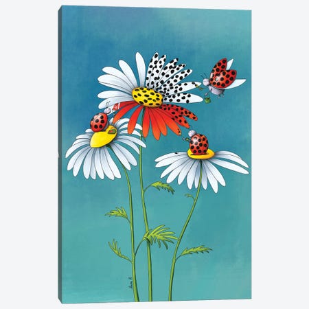 Daisies And Ladybugs Canvas Print #REH9} by LaureH Canvas Art