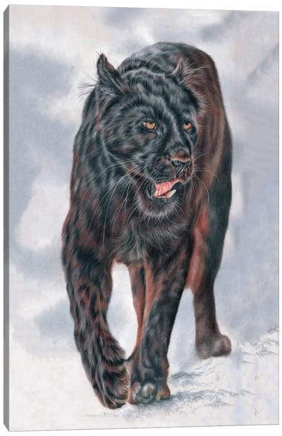 Potentiality Canvas Art Print - Panther Art