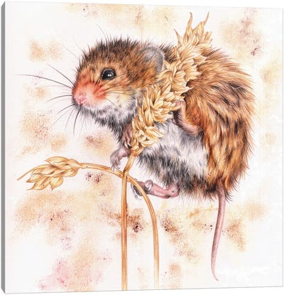 Little Happy Canvas Art Print - Rodent Art