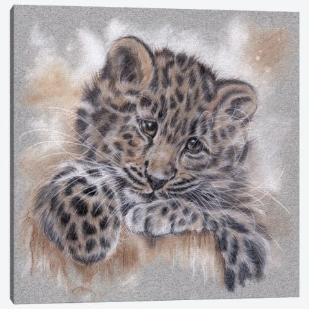 Amur Leopard Tonal Study Canvas Print #REL31} by Rosabelle Canvas Art