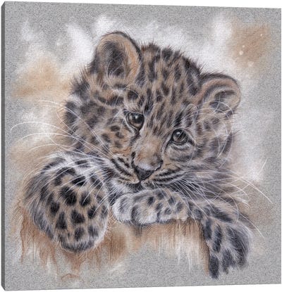 Amur Leopard Tonal Study Canvas Art Print - Rosabelle