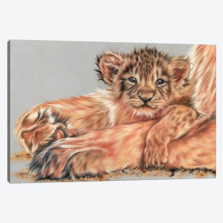 The Little Hairball Canvas Print #REL4} by Rosabelle Art Print