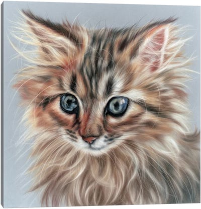 Kitty Portrait Canvas Art Print - Rosabelle