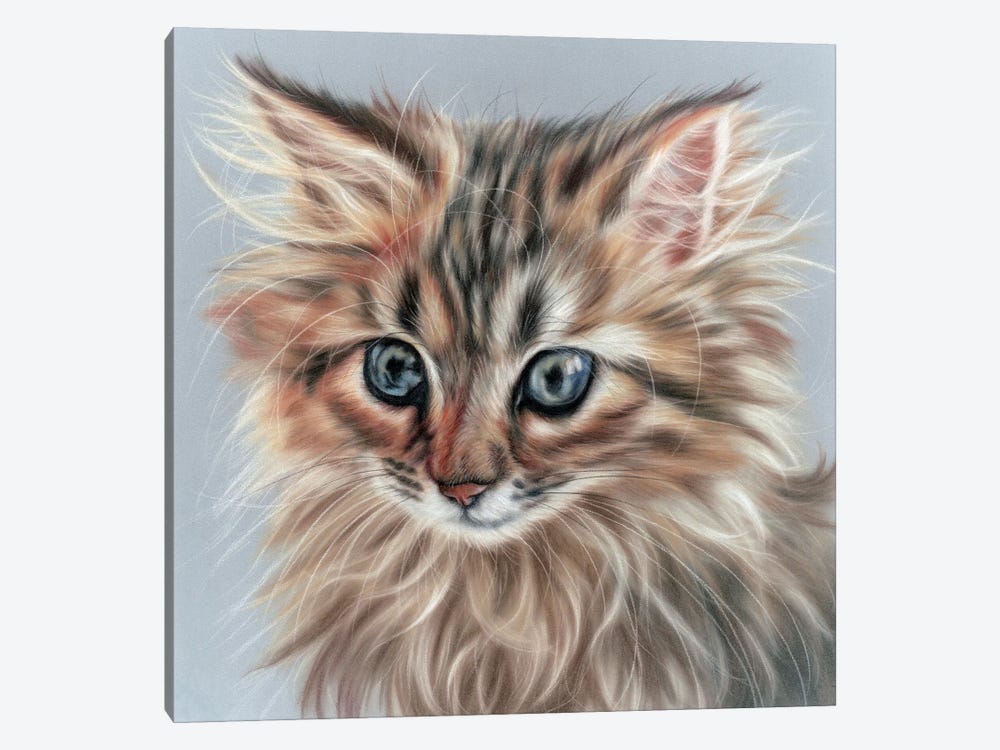 Kitty Portrait by Rosabelle 1-piece Canvas Print