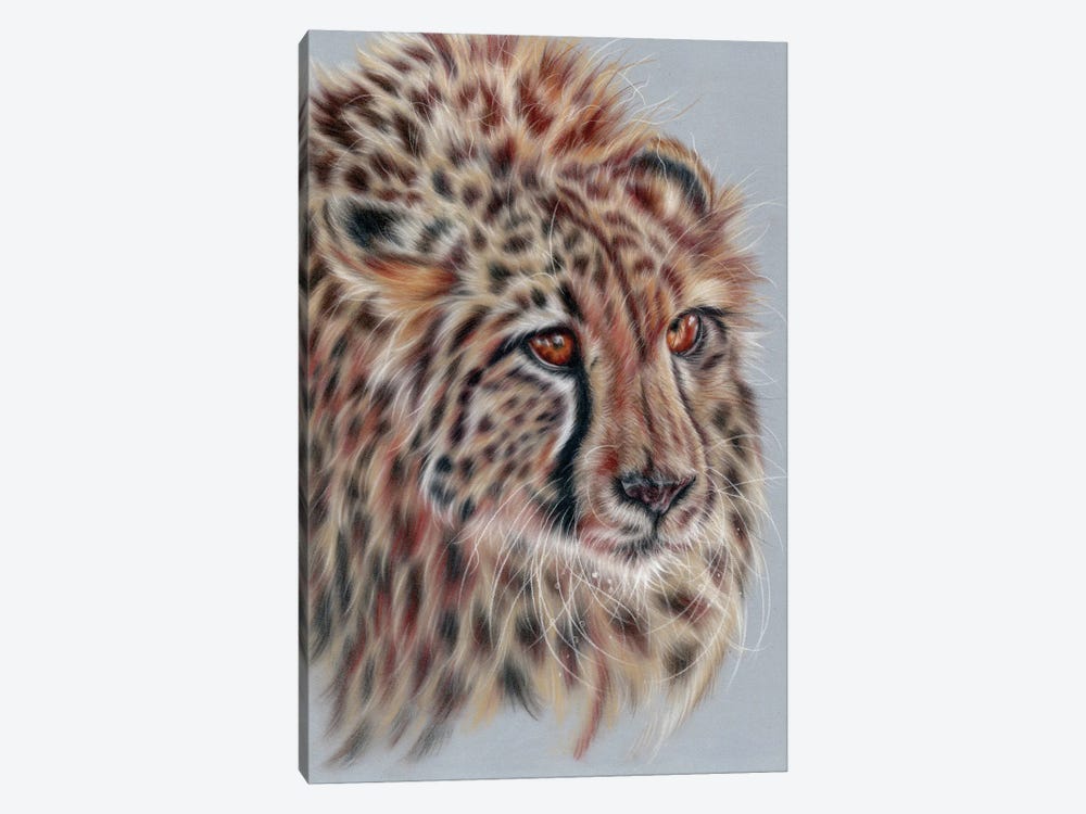 Cheetah Study by Rosabelle 1-piece Canvas Artwork