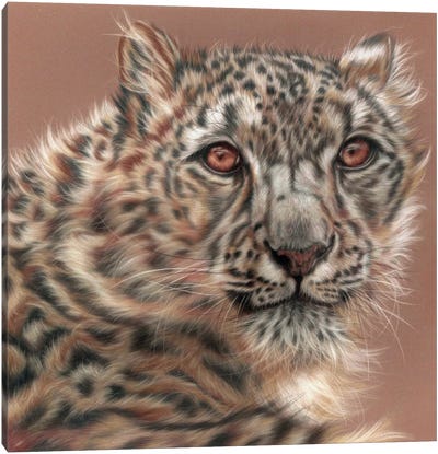 Jewell Canvas Art Print - Cheetah Art
