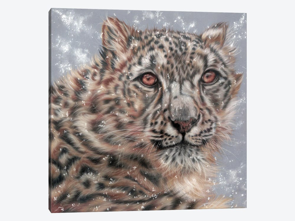 Jewell In Snow by Rosabelle 1-piece Canvas Print