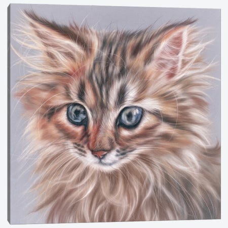 Kitten Portrait Canvas Print #REL62} by Rosabelle Canvas Art Print