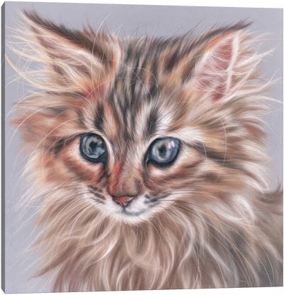 Kitten Portrait Canvas Art Print - Kitten Art