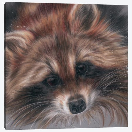 Kitty Racoon Canvas Print #REL68} by Rosabelle Canvas Art Print