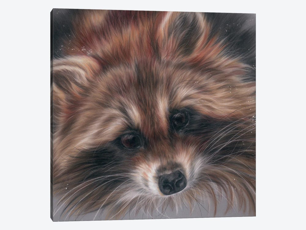 Kitty Racoon by Rosabelle 1-piece Canvas Print