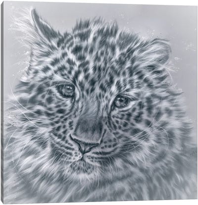 Harmony Canvas Art Print - Leopard Art