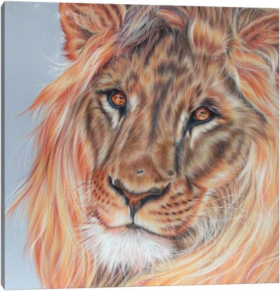 Lion Portrait Canvas Art Print - Brown Art