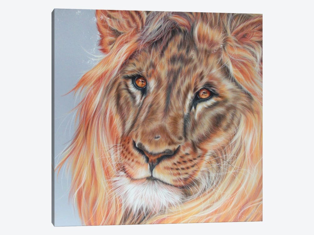 Lion Portrait by Rosabelle 1-piece Art Print