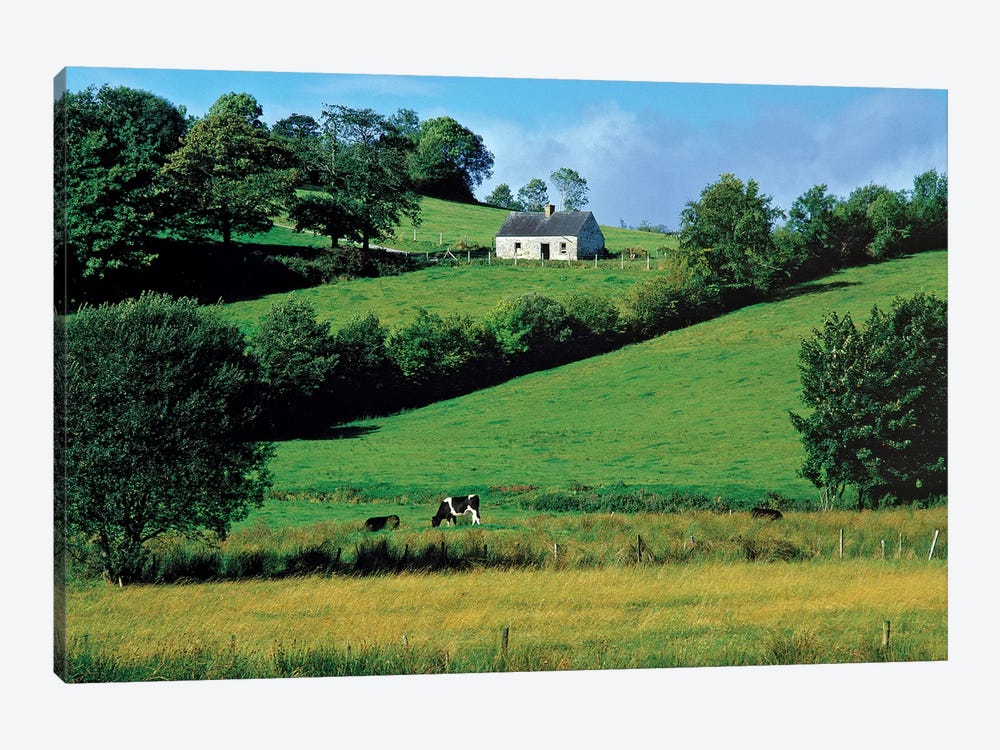 Northern Ireland, County Fermanagh, Lough Erne.  by Ric Ergenbright 1-piece Canvas Wall Art