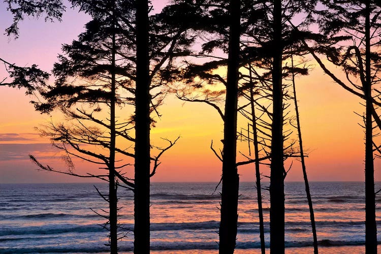 Colorful Sunset, Ruby Beach, Olympic National Park, Washington, USA