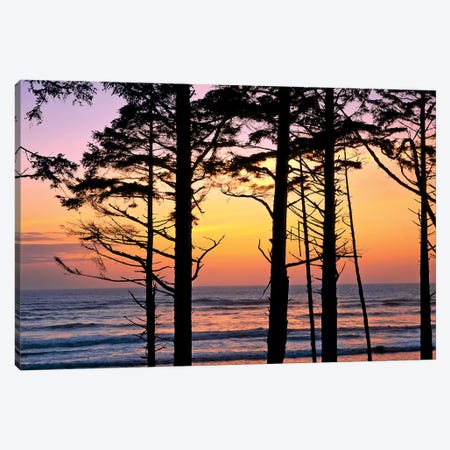 Colorful Sunset, Ruby Beach, Olympic National Park, Washington, USA Canvas Print #RER2} by Ric Ergenbright Art Print