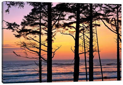 Colorful Sunset, Ruby Beach, Olympic National Park, Washington, USA Canvas Art Print - Olympic National Park Art