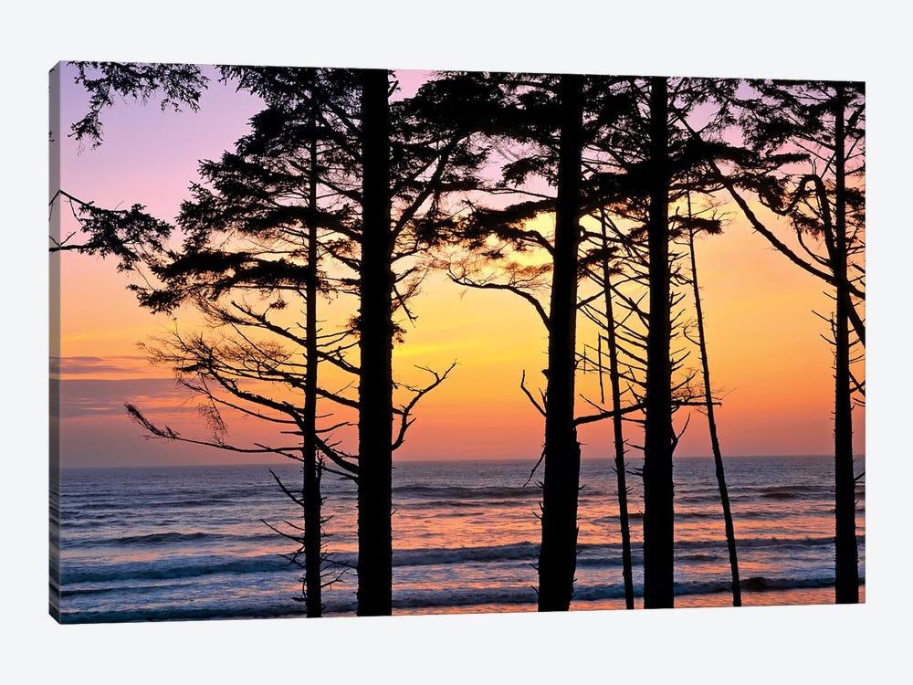 Colorful Sunset, Ruby Beach, Olympic National Park, Washington, USA by Ric Ergenbright 1-piece Art Print