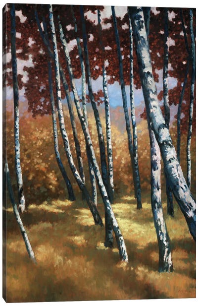 Sunburst Canvas Art Print - Birch Tree Art