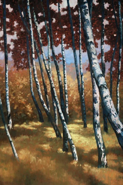 Birch Trees: Sunburst by Graham Reynolds