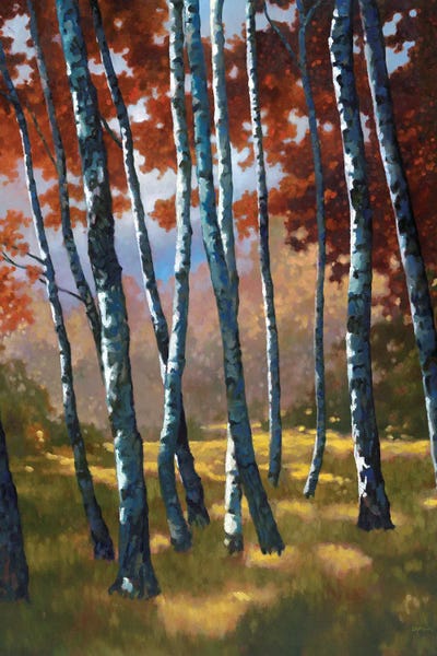 Birch Trees: Sundance by Graham Reynolds