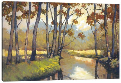 Trout Stream I Canvas Art Print - Graham Reynolds