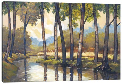 Trout Stream II Canvas Art Print - Graham Reynolds