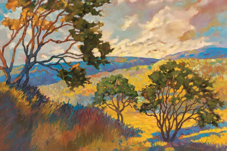 Wide horizons I by Graham Reynolds wall art