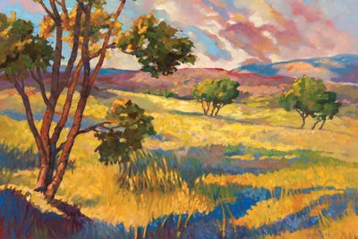 Wide horizons II by Graham Reynolds canvas print