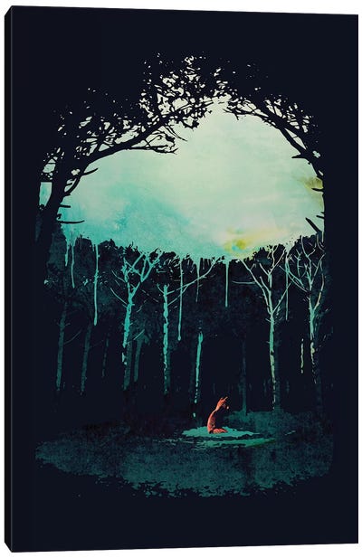 Deep In The Forest Canvas Art Print