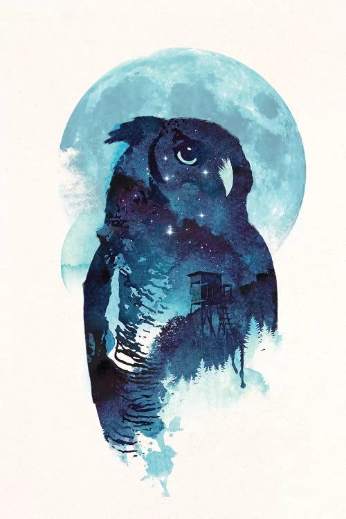 Midnight Owl by Robert Farkas wall art