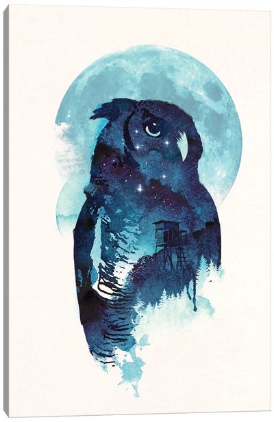 Midnight Owl Canvas Art Print - Robert Farkas